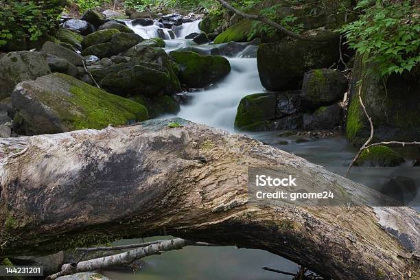 الرئيسية river makomanai