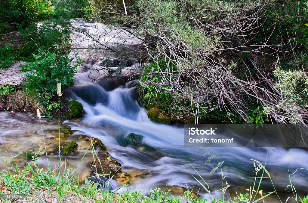 الرئيسية istockphoto 481178948 1024x1024